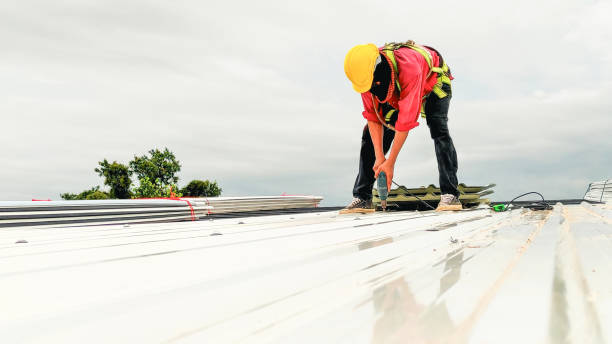 Best Roof Insulation Installation  in San Clemente, CA